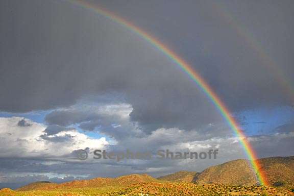 ojo rainbow 1 graphic